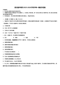 四川省泸州市2025-2026学年中考一模化学试题（含答案解析）