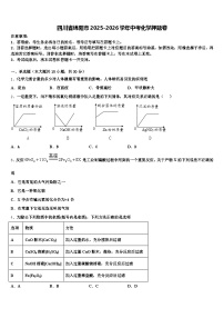 四川省绵阳市2025-2026学年中考化学押题卷（含答案解析）