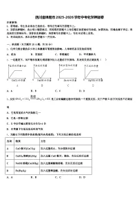 四川省绵阳市2025-2026学年中考化学押题卷（含答案解析）