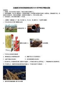 云南省红河哈尼族彝族自治州2026年中考化学模拟试题（含答案解析）