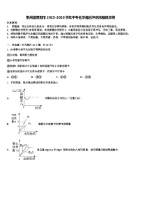贵州省贵阳市2025-2026学年中考化学最后冲刺浓缩精华卷（含答案解析）