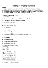 甘肃省陇南市2026年中考化学模拟预测试卷（含答案解析）