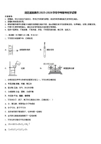 湖北省宜昌市2025-2026学年中考联考化学试卷（含答案解析）