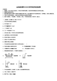 山东省东营市2026年中考化学仿真试卷（含答案解析）