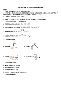河北省保定市2026年中考猜题化学试卷（含答案解析）