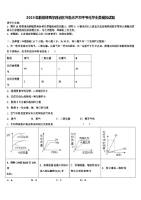 2026年新疆维吾尔自治区乌鲁木齐市中考化学全真模拟试题（含答案解析）