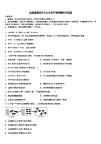 云南省普洱市2026年中考四模化学试题（含答案解析）