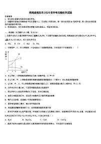 青海省海东市2026年中考五模化学试题（含答案解析）
