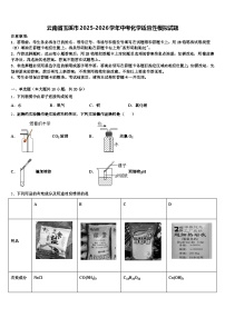 云南省玉溪市2025-2026学年中考化学适应性模拟试题（含答案解析）
