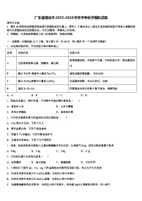 广东省清远市2025-2026学年中考化学模拟试题（含答案解析）
