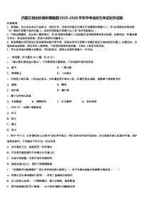 内蒙古自治区锡林郭勒盟2025-2026学年中考适应性考试化学试题（含答案解析）