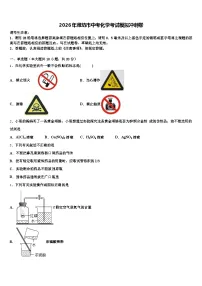 2026年潍坊市中考化学考试模拟冲刺卷（含答案解析）