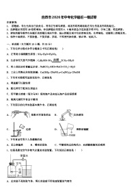自贡市2026年中考化学最后一模试卷（含答案解析）