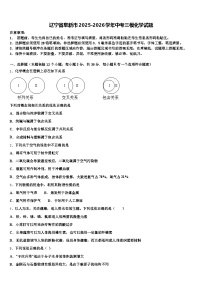 辽宁省阜新市2025-2026学年中考三模化学试题（含答案解析）