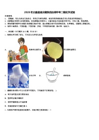 2026年云南省迪庆藏族自治州中考二模化学试题（含答案解析）