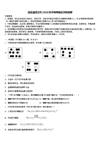 湖北省武汉市2026年中考押题化学预测卷（含答案解析）
