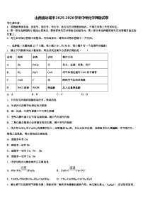 山西省运城市2025-2026学年中考化学押题试卷（含答案解析）