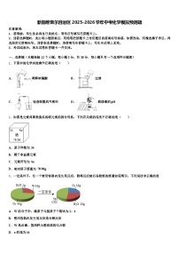 新疆维吾尔自治区2025-2026学年中考化学模拟预测题（含答案解析）