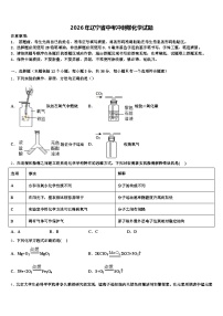 2026年辽宁省中考冲刺卷化学试题（含答案解析）