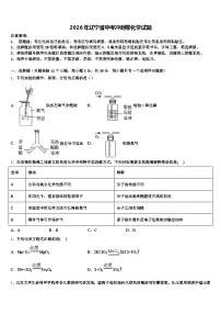 2026年辽宁省中考冲刺卷化学试题（含答案解析）