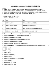 吉林省辽源市2025-2026学年中考化学全真模拟试题（含答案解析）