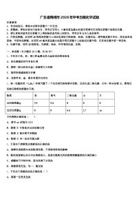 广东省梅州市2026年中考五模化学试题（含答案解析）