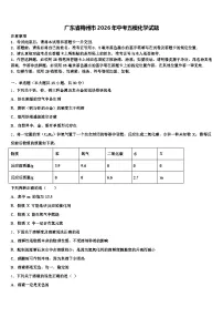 广东省梅州市2026年中考五模化学试题(含答案解析)
