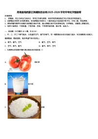 青海省海西蒙古族藏族自治州2025-2026学年中考化学猜题卷（含答案解析）