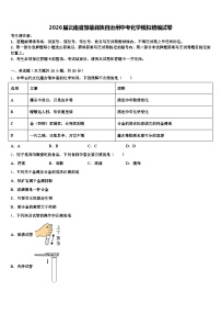 2026届云南省楚雄彝族自治州中考化学模拟精编试卷（含答案解析）