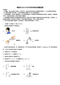 阜阳市2025-2026学年中考化学四模试卷（含答案解析）