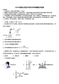 2026年黑龙江省齐齐哈尔市中考四模化学试题（含答案解析）