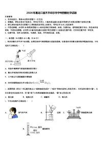 2026年黑龙江省齐齐哈尔市中考四模化学试题（含答案解析）