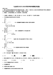 七台河市2025-2026学年中考冲刺卷化学试题（含答案解析）