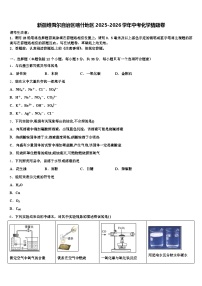 新疆维吾尔自治区喀什地区2025-2026学年中考化学猜题卷（含答案解析）