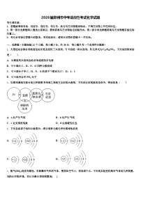 2026届郑州市中考适应性考试化学试题（含答案解析）