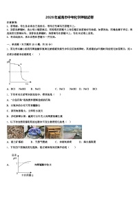 2026年威海市中考化学押题试卷（含答案解析）
