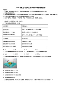 2026年黑龙江省大庆市中考化学模拟精编试卷（含答案解析）