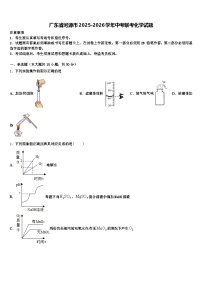 广东省河源市2025-2026学年中考联考化学试题（含答案解析）