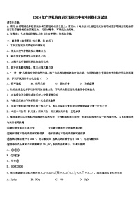 2026年广西壮族自治区玉林市中考冲刺卷化学试题（含答案解析）