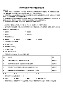 2026年日照市中考化学模拟精编试卷（含答案解析）