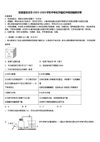 安徽省安庆市2025-2026学年中考化学最后冲刺浓缩精华卷（含答案解析）