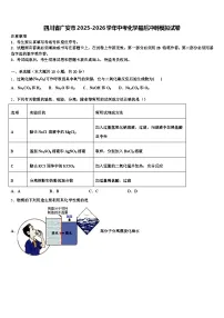 四川省广安市2025-2026学年中考化学最后冲刺模拟试卷（含答案解析）