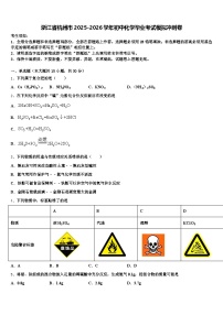 浙江省杭州市2025-2026学年初中化学毕业考试模拟冲刺卷（含答案解析）