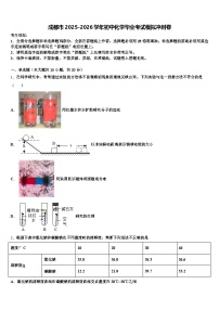 成都市2025-2026学年初中化学毕业考试模拟冲刺卷（含答案解析）