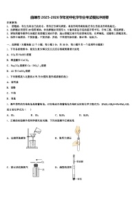 曲靖市2025-2026学年初中化学毕业考试模拟冲刺卷（含答案解析）