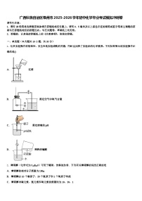 广西壮族自治区梧州市2025-2026学年初中化学毕业考试模拟冲刺卷（含答案解析）