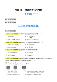 专题16 物质的转化与推断（全国通用）2025年中考化学真题分类汇编（含答案解析）