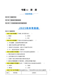 专题12 溶液（全国通用）2025年中考化学真题分类汇编（含答案解析）