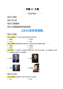 专题05 元素（全国通用）2025年中考化学真题分类汇编（含答案解析）