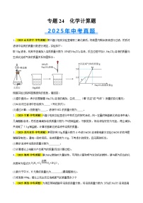 专题24 化学计算题（全国通用）2025年中考化学真题分类汇编（含答案解析）